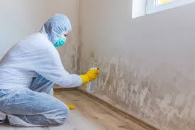 Best Attic Mold Removal  in Adamsville, AL