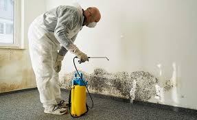 Best Emergency Mold Remediation  in Adamsville, AL