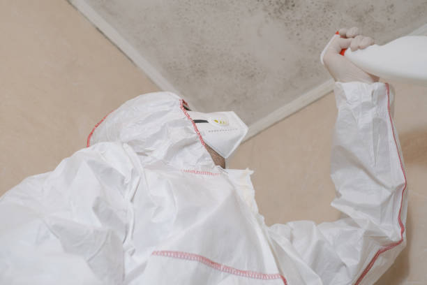 Best Environmental Consulting for Mold Prevention  in Adamsville, AL