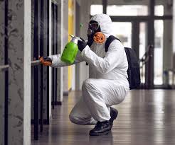 Reliable Adamsville, AL Mold Remediation Solutions